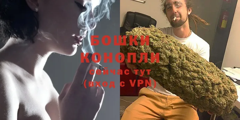 МАРИХУАНА THC 21%  Боровичи 